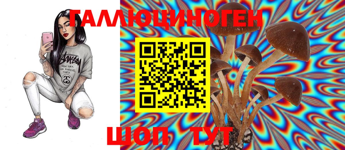 Галлюциногенные грибы GOLDEN TEACHER  Вход с VPN  Ярославль 